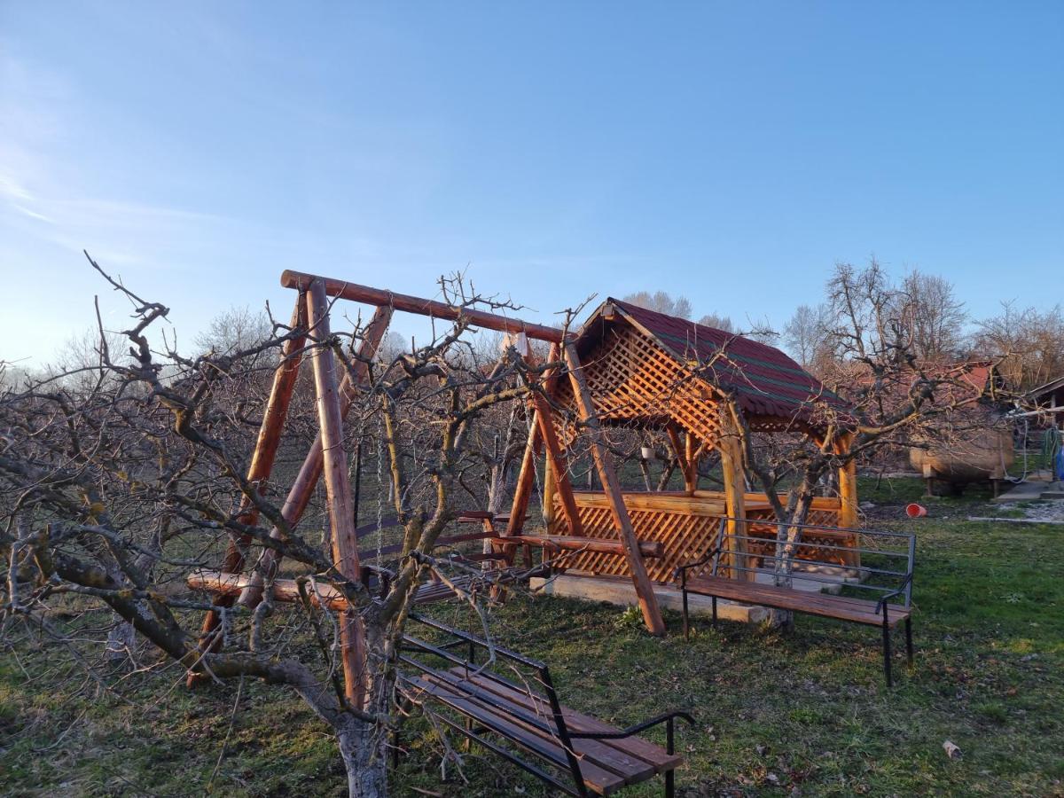 Pensiunea Paradis Borobanesti Luaran gambar