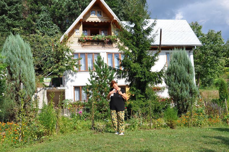 Pensiunea Paradis Borobanesti Luaran gambar