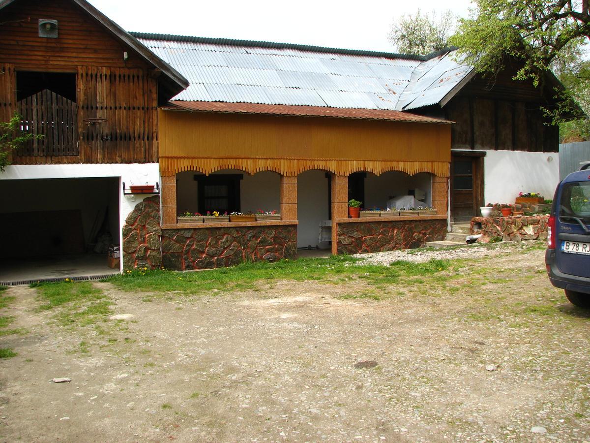 Pensiunea Paradis Borobanesti Luaran gambar