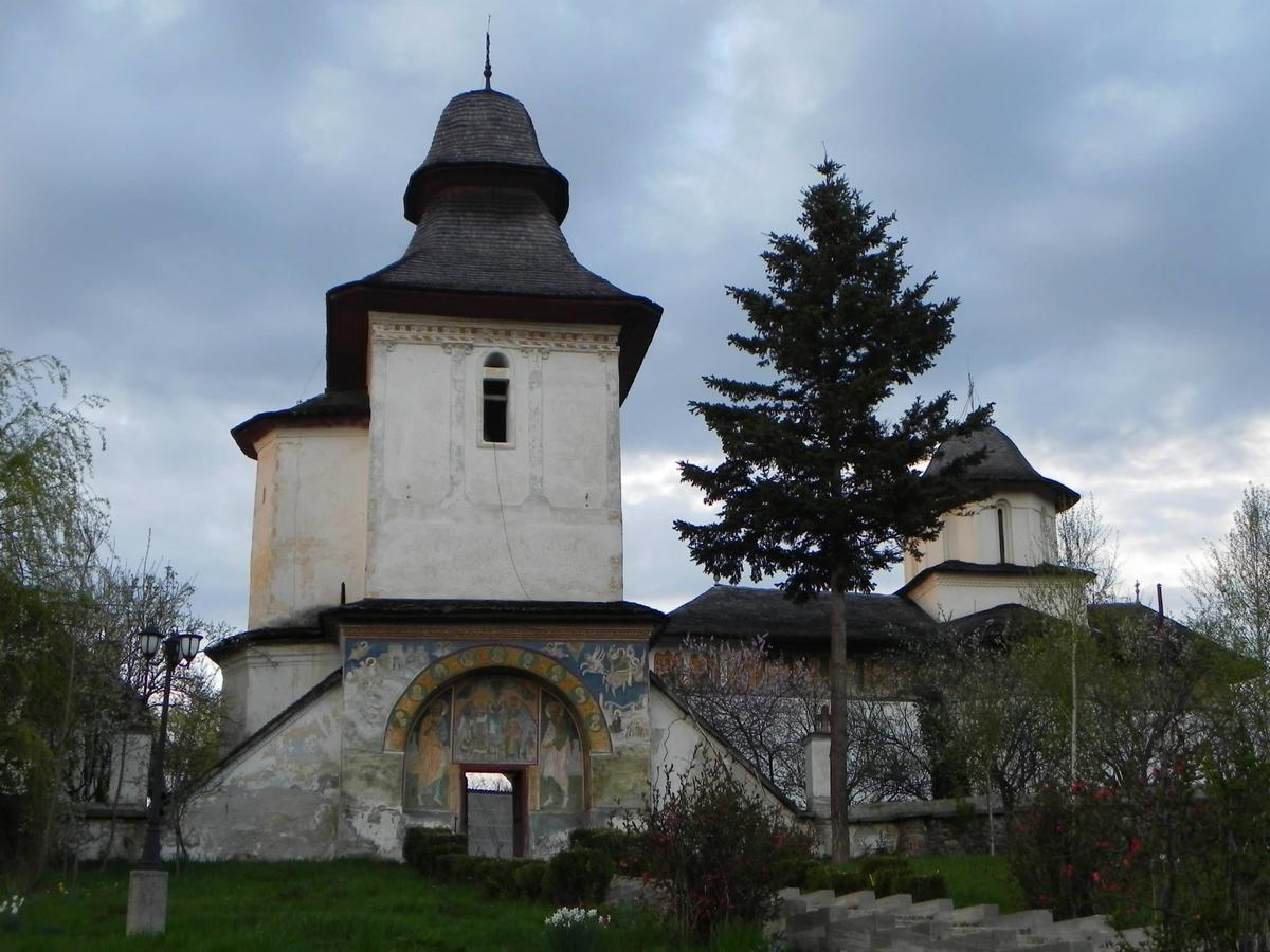 Pensiunea Paradis Borobanesti Luaran gambar