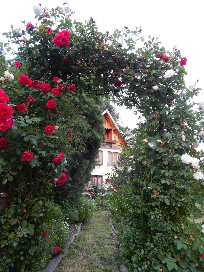 Pensiunea Paradis Borobanesti Luaran gambar