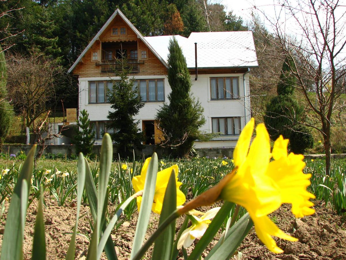 Pensiunea Paradis Borobanesti Luaran gambar