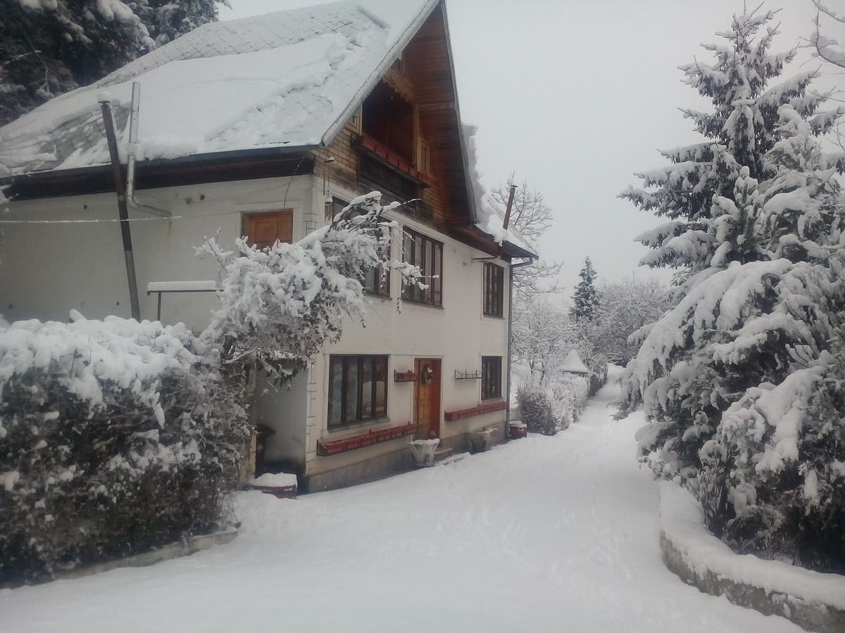 Pensiunea Paradis Borobanesti Luaran gambar