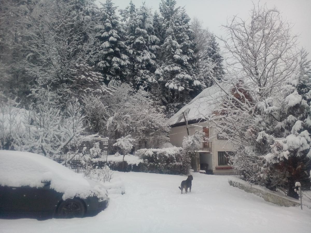 Pensiunea Paradis Borobanesti Luaran gambar