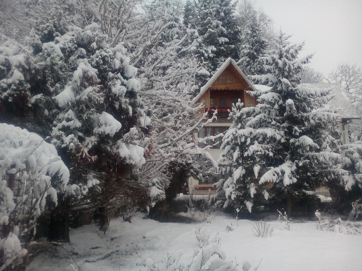 Pensiunea Paradis Borobanesti Luaran gambar